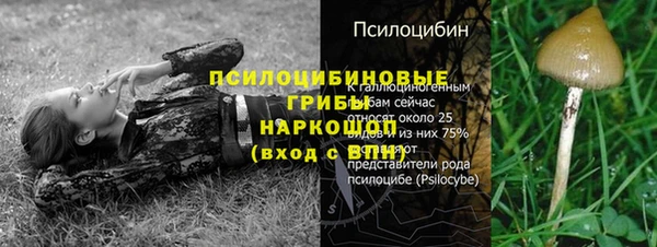ГАЛЛЮЦИНОГЕННЫЕ ГРИБЫ Алексин